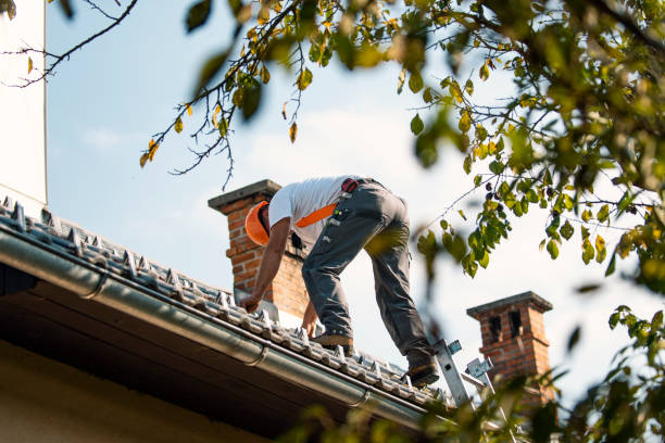Best Storm Damage Roof Repair  in Jeffersonville, OH